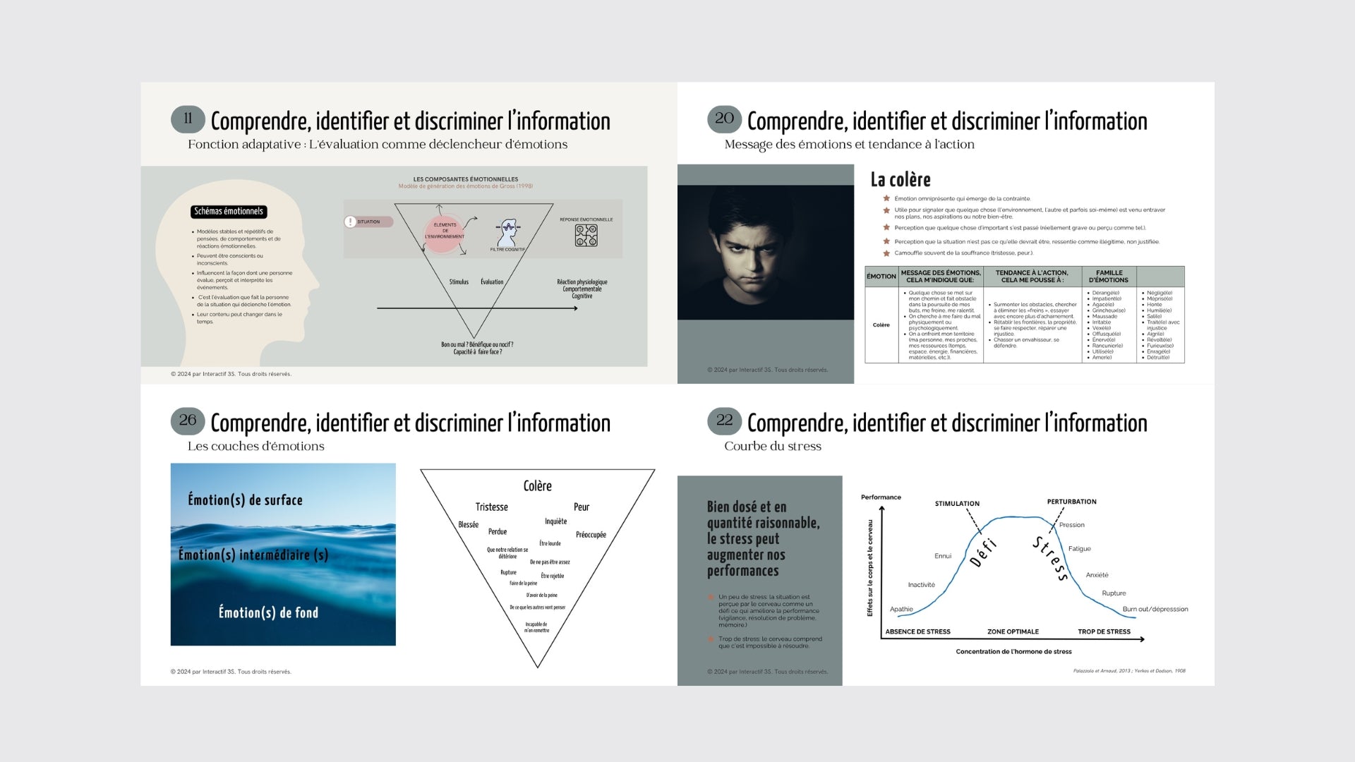 Émotions 1: Comprendre, détecter, interpréter et s&